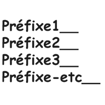 标记前缀 (Préfixes)